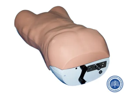 310_МУ0354_Манекен_для_диагностики_4