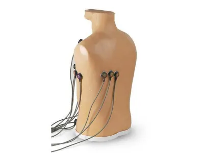 1018638 Тренажер ЭКГ для демонстрации места присоединения