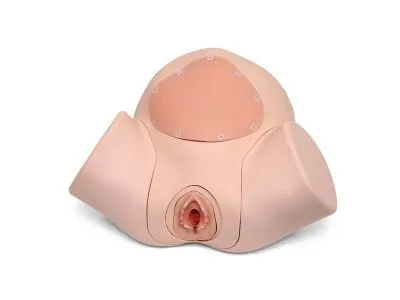 Модуль для обучения наложению швов к имитатору родов 1022879_3