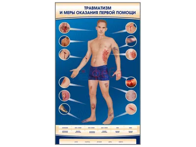 310_М0003_Электрифицированный_стенд-тренажер