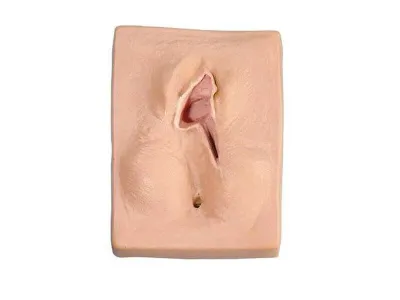 1018541 Тренажер наложения швов при левой медиолатеральной эпизиотомии