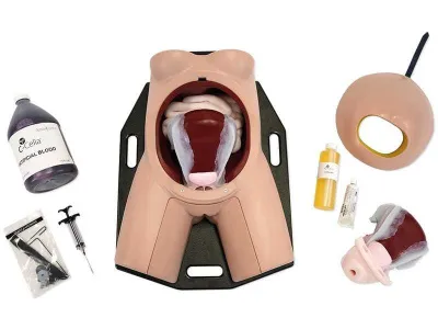 1022564 Тренажер навыков неотложной гистерэктомии C-Celia