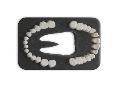 МУ0139 Комплект из 28 модельных зубов З-28.1