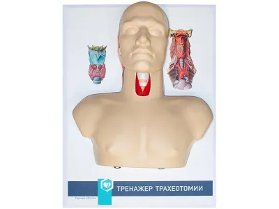 М0003 Тренажер трахеотомии