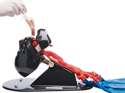 1015523 Модель дыхательных путей AirSim Bronchi для интубации