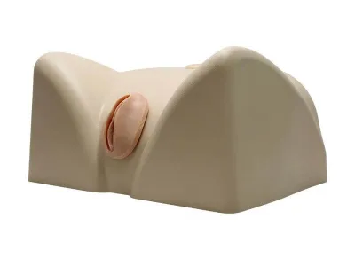 МУ0115 Тренажер для обучения методам дренирования мочевого пузыря женщины