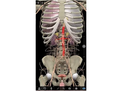 310_Интерактивная_панель_3