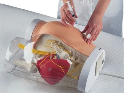 1005394 Тренажер «два в одном» для внутримышечных инъекций