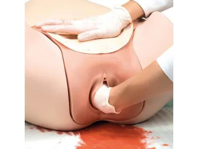 1021568 Тренажер остановки послеродового кровотечения