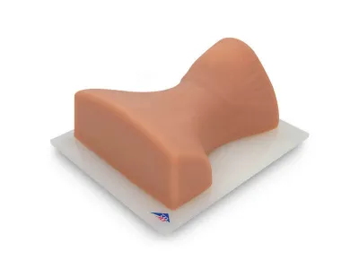 1021900 Тренажер инъекций шейного отдела позвоночника P67