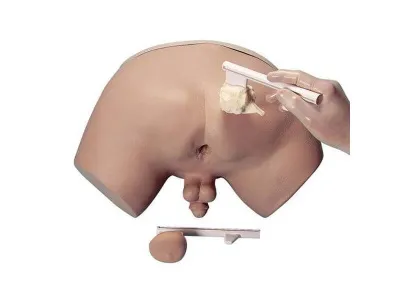 1005594 Тренажер для обследования простаты