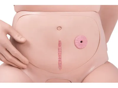 1018817 Базовый манекен для ухода за пациентами 3B Scientific®