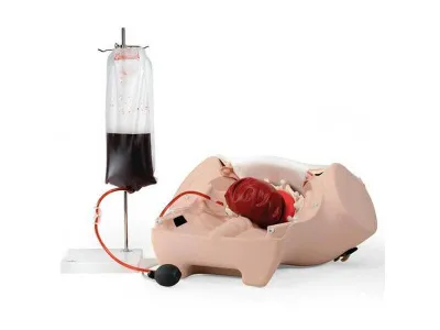 1021568 Тренажер остановки послеродового кровотечения