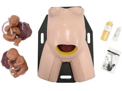 1022559 Тренажер C-Celia по извлечению плода при кесаревом сечении