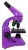 250_69047_Микроскоп Levenhuk Rainbow 50L Amethyst_4