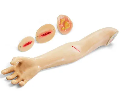 М0490 Фантом руки для наложения и снятия швов, обработки ожогов и ран