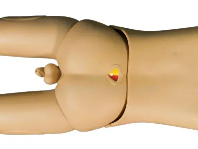 Манекен Александр 2 для сестринских навыков - ягодицы