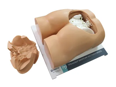 310_МУ0606_Тренажер_навыков_костной_биопсии_2