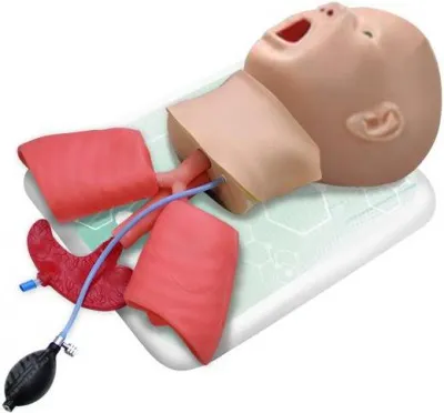 310_МУ0388_Фантом_головы_ребенка