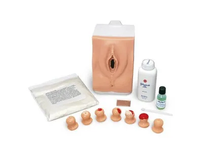 1018643 Тренажер осмотра шейки матки и взятие мазка Папаниколау