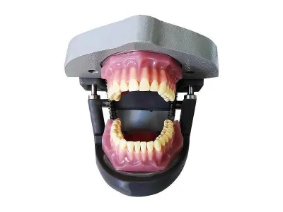 МУ0132 Стоматологический тренажер «ТС-Г.01»