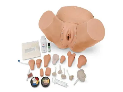 1019960 Расширенный гинекологический тренажер для обследования органов малого таза