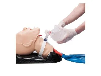 1021921 Универсальный тренажер AirSim Combo X для интубации