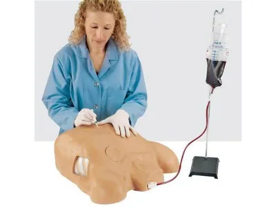 1018828 Тренажер для отработки навыков перикардиоцентеза