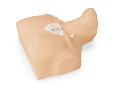 1017947 Тренажер внутрикостной инфузии грудины взрослого