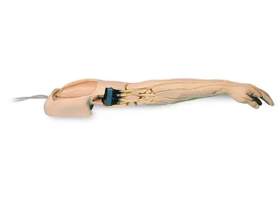 1005678 Усовершенствованный тренажер для венопункции и инъекции, рука