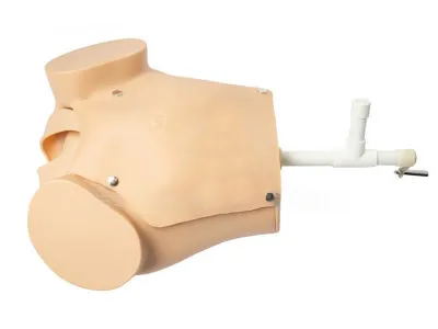 P54 Симулятор для отработки акушерских навыков с ручным позиционированием плода с дополнительными возможностями