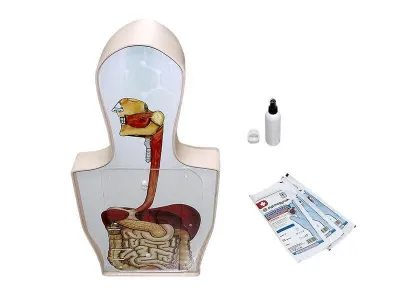 М0077 Тренажер гастроскопии и катетеризации желчного протока