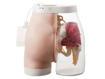 1005394 Тренажер «два в одном» для внутримышечных инъекций