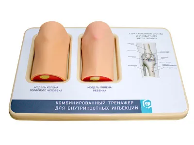 М0014 Комбинированный тренажер для внутрикостных инъекций