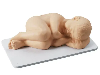 1017244 Педиатрический манекен Life/form Pediatric для обучения люмбальной пункции