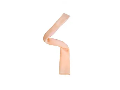 М0018 Двухслойная модель кишки