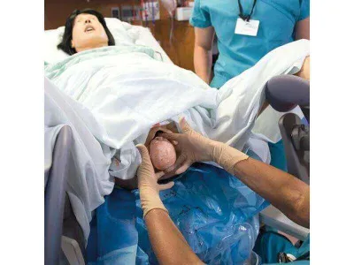 1021721 Реалистичный расширенный имитатор родов Basic Lucy