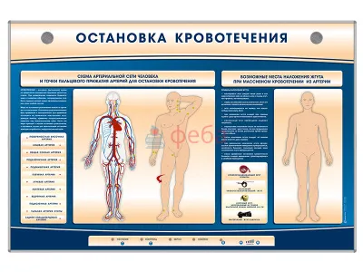310_М0013_Электрифицированный_стенд-тренажер