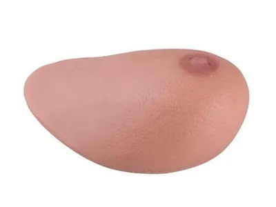 1019635 Модель молочной железы с опухолями SONOtrain™ с возможностью УЗИ-обследования