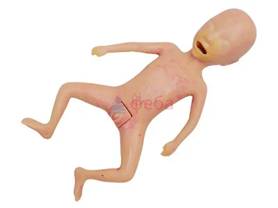 310_МУ0810_Манекен_недоношенного_1