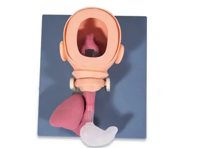 Тренажер для отработки навыков эндотрахеальной интубации у младенца (с окошком для демонстрации анатомического строения)_1