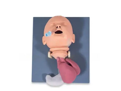 Тренажер для отработки навыков эндотрахеальной интубации у младенца (с окошком для демонстрации анатомического строения)