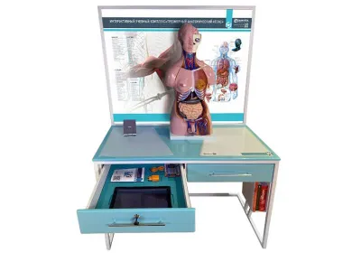 Интерактивный учебный комплекс «Анатомический атлас 3D»_1