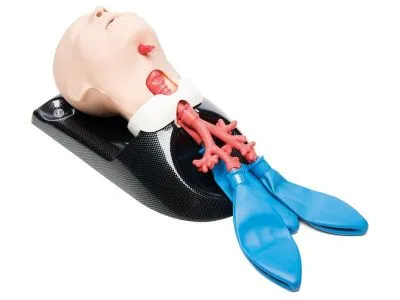 1021903 Универсальный тренажер AirSim Child Combo Bronchi X для интубации