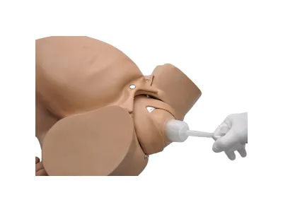 Акушерский симулятор Obstetric Susie_5