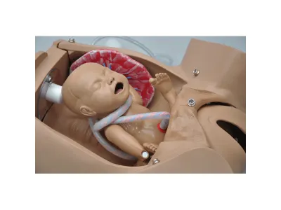 Акушерский симулятор Obstetric Susie_4