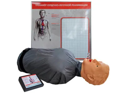 Т1010 Тренажер-манекен для отработки СЛР с контроллером и настенным табло «Роман-05»