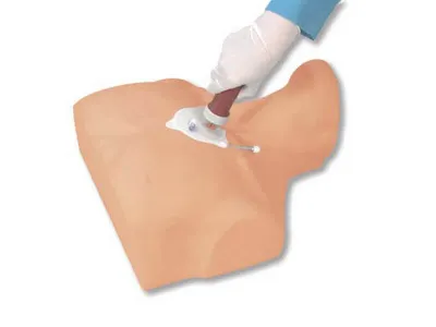 1017947 Тренажер внутрикостной инфузии грудины взрослого