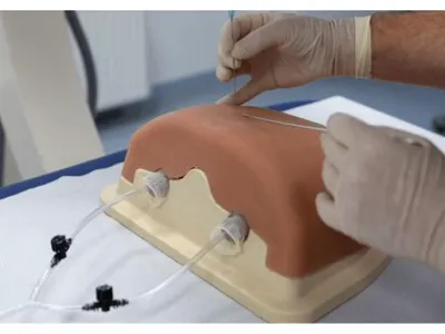 1021899 Тренажер для спинальных инъекций в грудную клетку под визуальным контролем