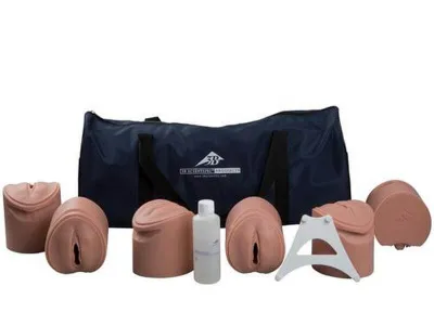 1020628 Акушерский тренажер «Стадии родов» для практики пальпации